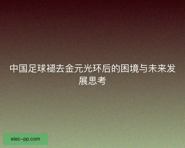 中国足球褪去金元光环后的困境与未来发展思考